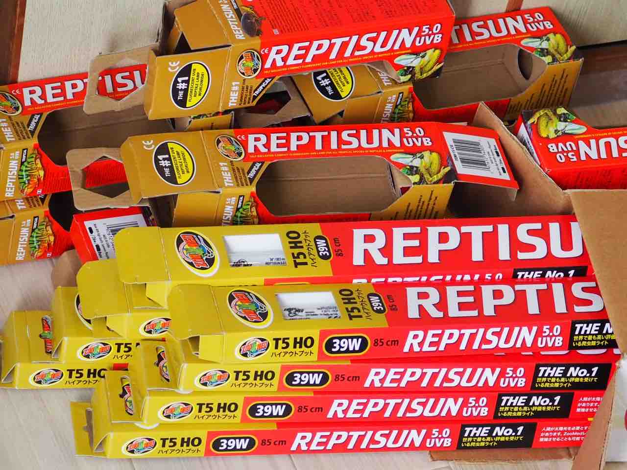 パンサーカメレオンに最適な爬虫類UVBライトの定期交換とファーガソン