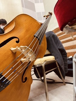 コントラバス ガット弦 Gamut A線 Gut-a-Like ( ガットアライク ) Hepcat コントラバス弦 A線 3/4 送料