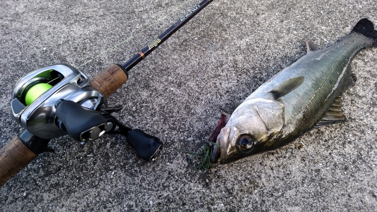 18新リールインプレッション 割愛したアレ バンタムmgl Coltplain Fishingworks 18新リールインプレッション 割愛したアレ バンタムmgl Coltplain Fishingworks