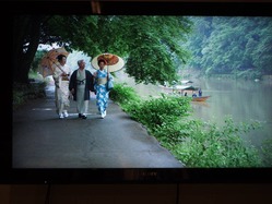 Misty in Arashiyama, Kyoto from Chasing Trane