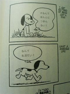 10月2日 漫画ピーナッツが連載を開始した日 電子レンジ おひとり様 生活