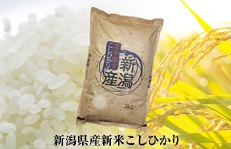 こしひかり