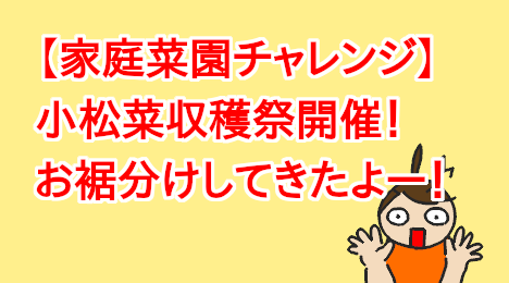 blog-title-I-harvested-the-komatsuna-I-had-grown-in-a-planter