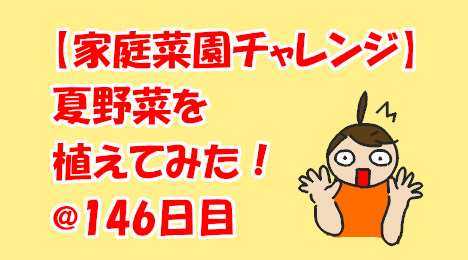 blog-title-I-tried-growing-Cucumber-Day146