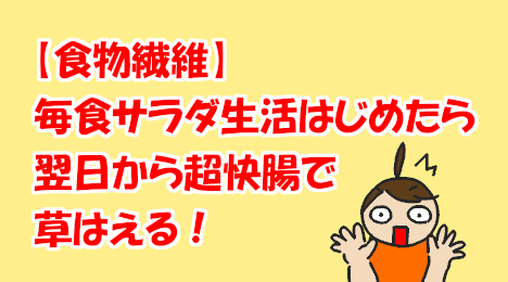 blog-title-I-felt-better-after-eating-salad-every-meal