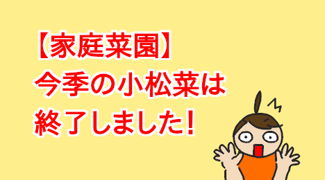 blog-title-This-season's-komatsuna-harvest-is-over