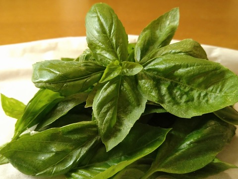 image-Homemade-basil-sauce-pasta_1
