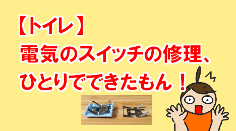 blog-title-I-was-able-to-repair-the-light-switch-in-the-toilet