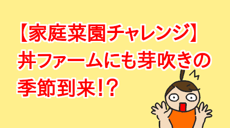 blog-title-The-season-of-budding-begins-at-DonFarm