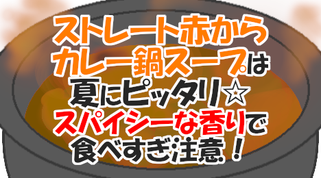 ブログ_ストレート赤からカレー鍋スープ_20220825
