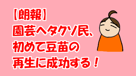 blog-title-Succeeded-in-reproducing-bean-seedlings