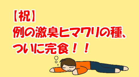 blog-title-I-ate-all-the-strange-smelling-sunflower-seeds