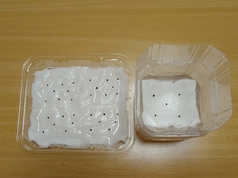 image-Plastic-bottle-hydroponic-cultivation_1127