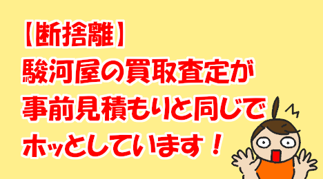 blog-title-Surugaya's-purchase-price-was-as-estimated