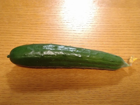 image-Home-Garden-Challenge-Cucumber_0817_7