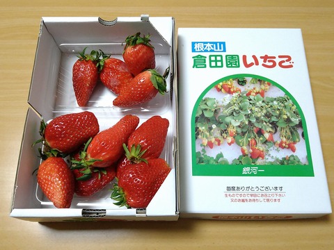 image-I-was-given-some-strawberries_1