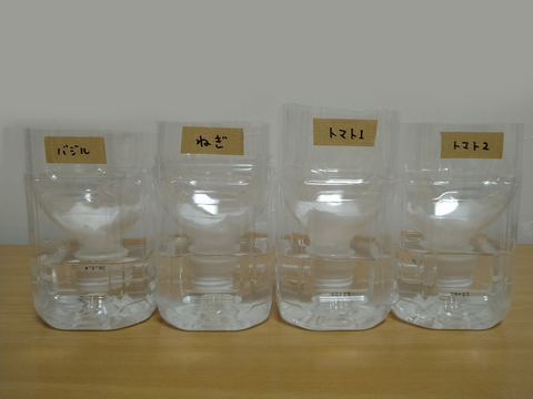 image-Plastic-bottle-hydroponic-cultivation_1105_1