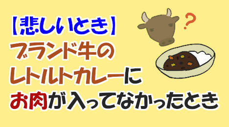 blog_title_sad_retort_pouch_curry_no_brand_beef