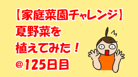 blog-title-I-tried-growing-Cucumber-Day125