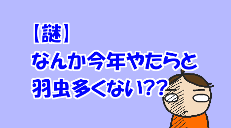 blog-title-Are-there-a-lot-of-flying-insects-this-year