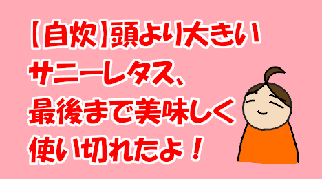 blog-title-I-was-able-to-use-up-the-giant-sunny-lettuce