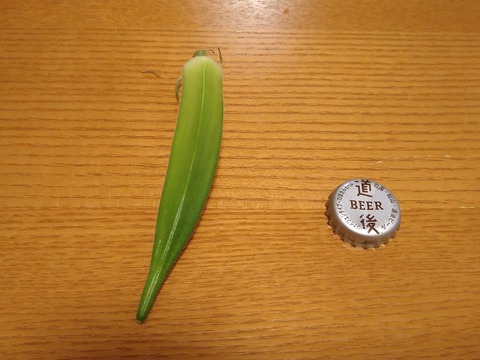 image-Freshly-picked-okra-has-a-strange-smell