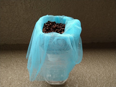 image-I-planted-tomato-seedlings-in-plastic-bottles_3