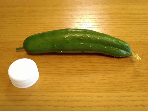 image-I-became-a-straw-millionaire_1