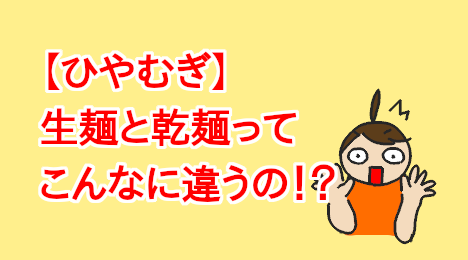 blog-title-I-ate-fresh-style-hiyamugi-noodles