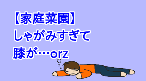 blog-title-My-knees-hurt-from-squatting-for-a-long-time