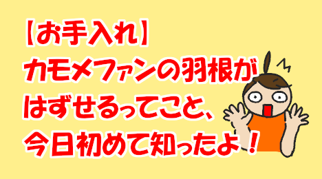 blog-title-The-KAMOMEFAN-blades-can-be-removed