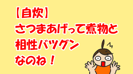 blog-title-Satsumaage-goes-well-with-stews