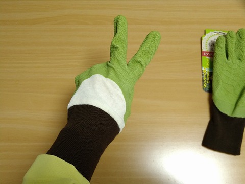 image-I-bought-gardening-gloves_2