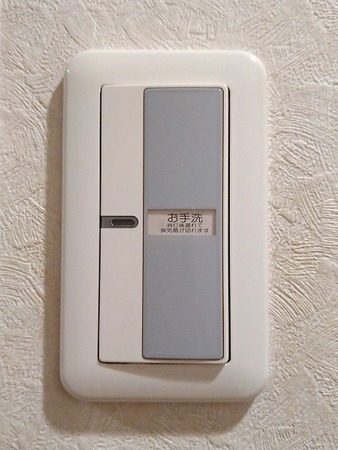 toilet-light-switch_13