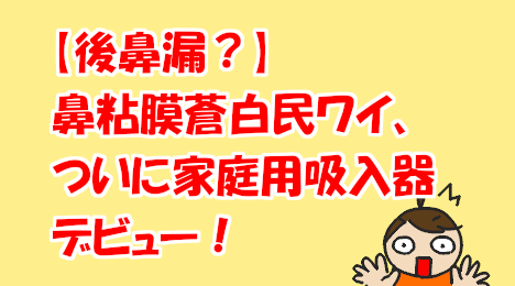 blog-title-Inhaler-purchase-review