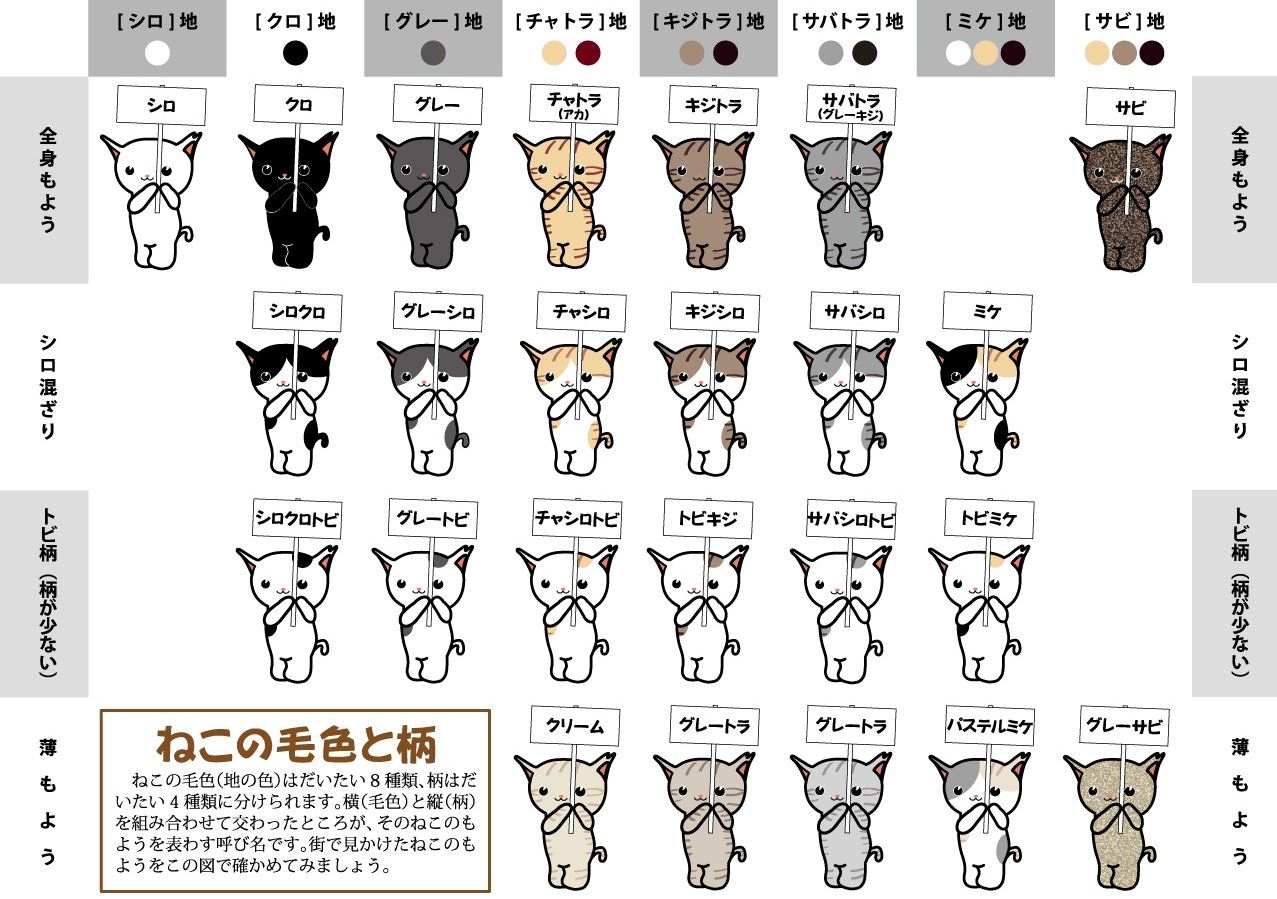 【毛皮だけじゃない】猫の口色と模様から妄想を広げてみた。