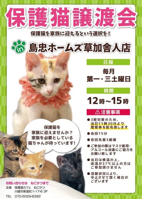 ボクちゃんの尿結石（1）（2）