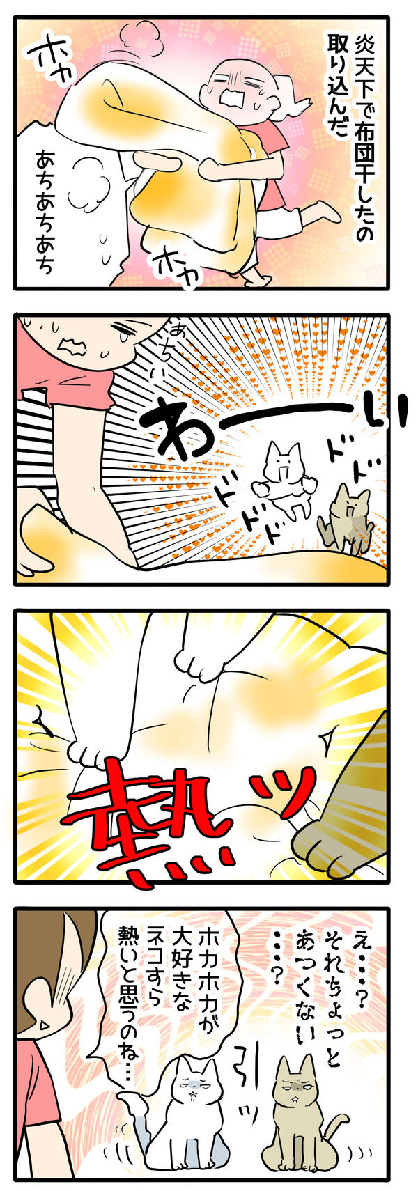 炎天下の布団干しに、猫たちが