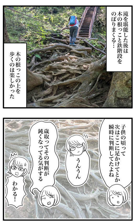 夏におすすめ涼し〜ロックガーデン②