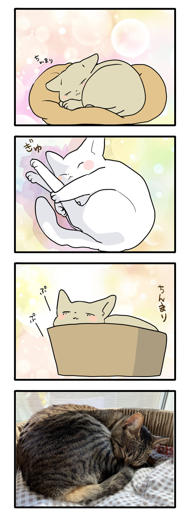 後ろ足伸びがちボーイ