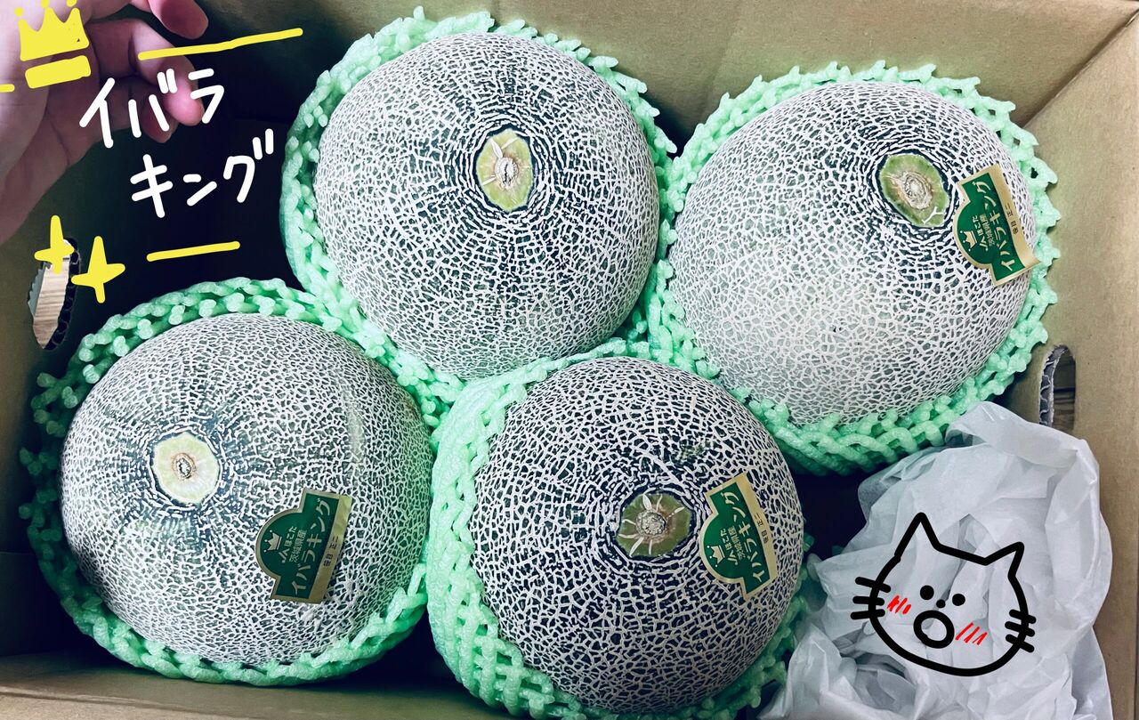 冷蔵庫がとんでもなくリッチ