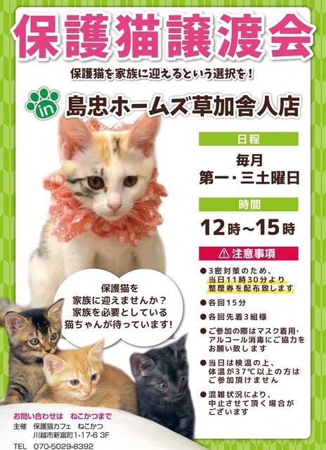 どうかな胡ねこ丸
