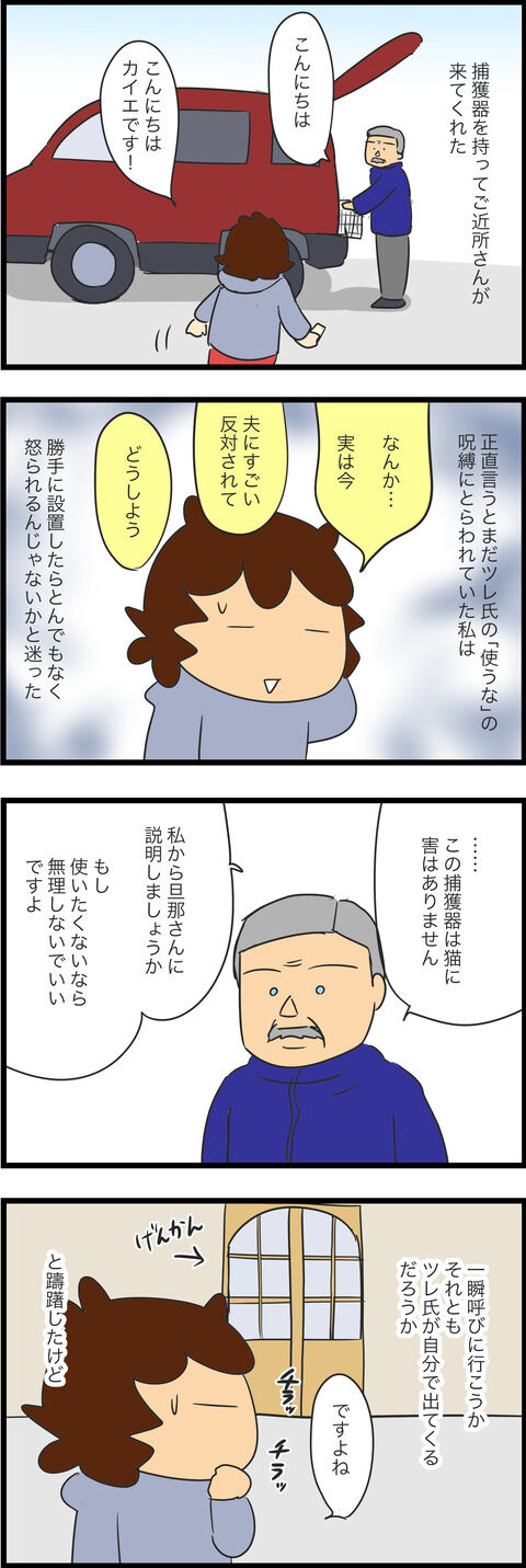 ねこちゃんがいなくなった12