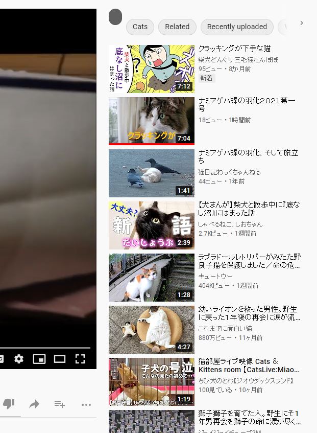 YOUTUBEの表示がおかしい？こんなことってある？