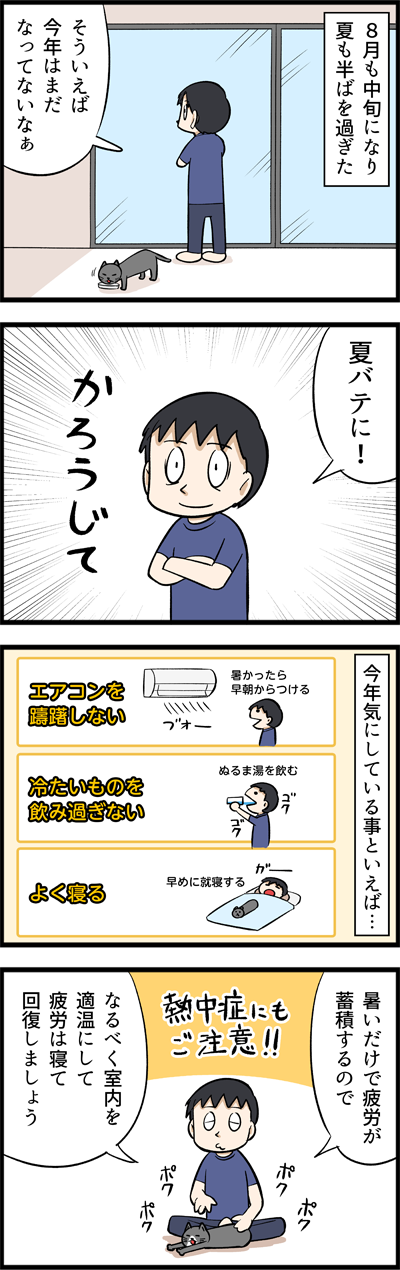 毎年なってしまう夏の風物詩