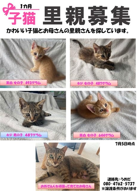 日本神話とムカデ