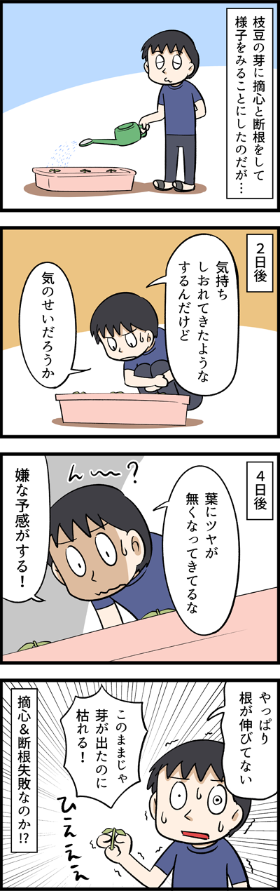 このままじゃ枯れてしまう！