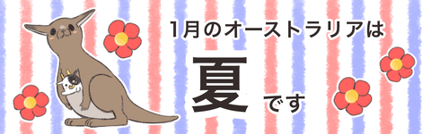ほぼ毎日やってる『生』を感じる夫婦のちょっとした遊びな話