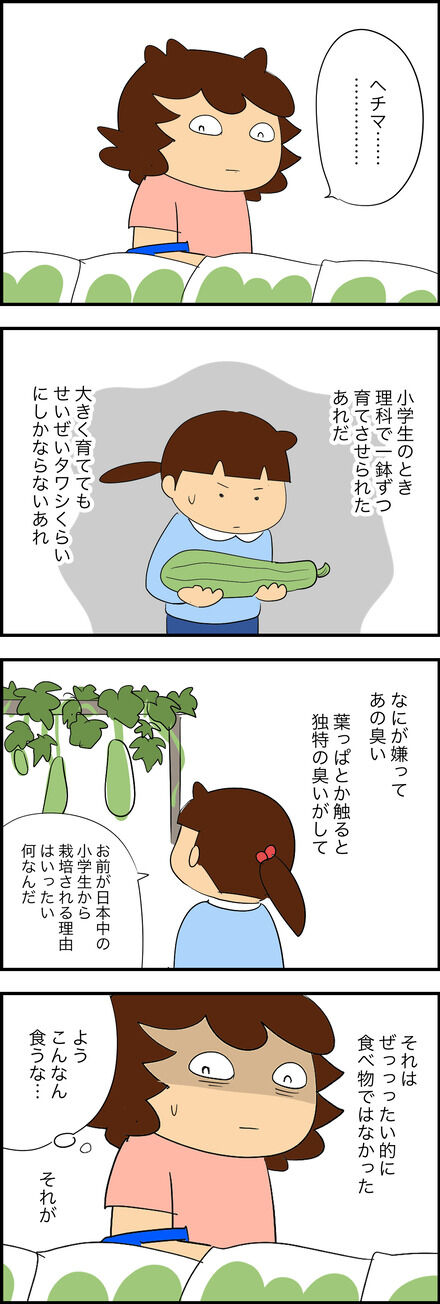 食用ヘチマ普及させ隊長