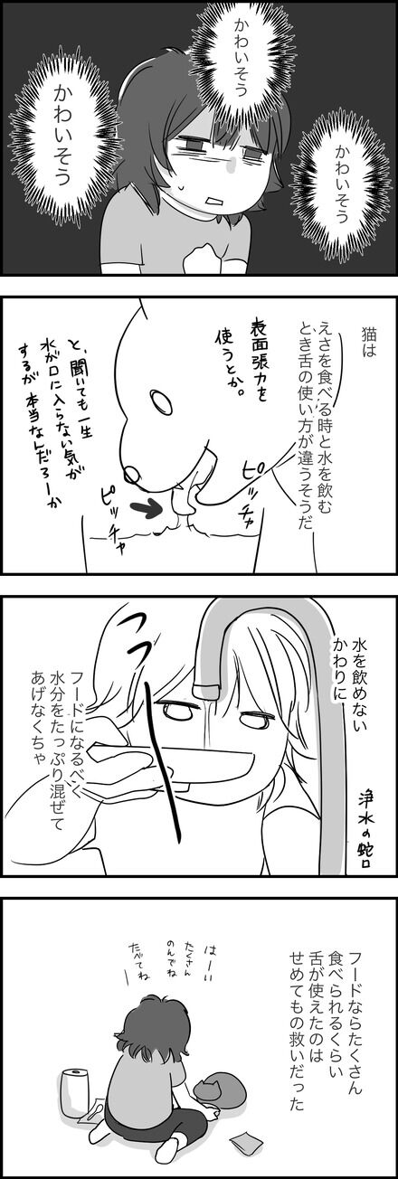 どーするカイエ48「せめてもの」